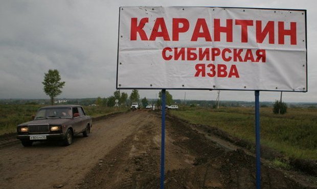 В Ямало-Ненецком АО подтверждена гибель подростка от сибирской язвы