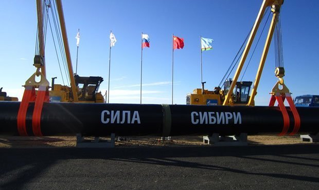 Победителем 40 тендеров «Газпрома» стала компания, в которой работают 5 человек