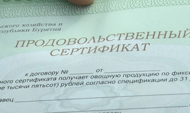 На Урале пенсионерам во время выборов выдадут продуктовые карточки номиналом 150 рублей