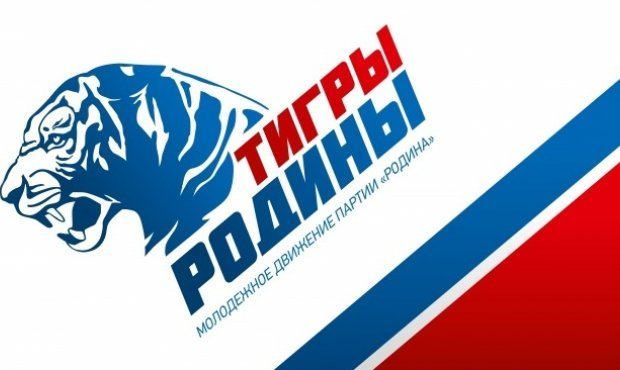 «Тигры Родины» подали заявление в прокуратуру на обнаглевший ЧОП «Фудсити»