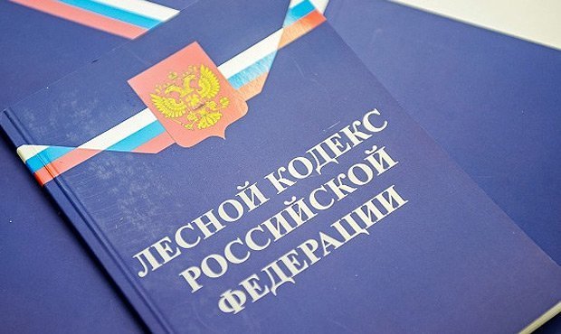 Прокуратура уличила Минлесхоз Иркутской области в преступном бездействии