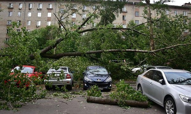 МЧС предупредило москвичей о сильном ветре и грозе. В аэропортах отменяют рейсы