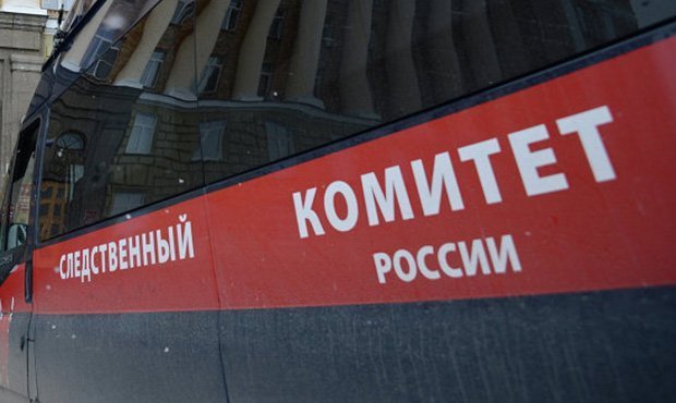 СКР проводит проверку видеозаписи убийства котенка несовершеннолетними девочками