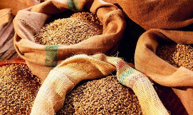 Правительство обяжет региональные власти формировать запасы зерна