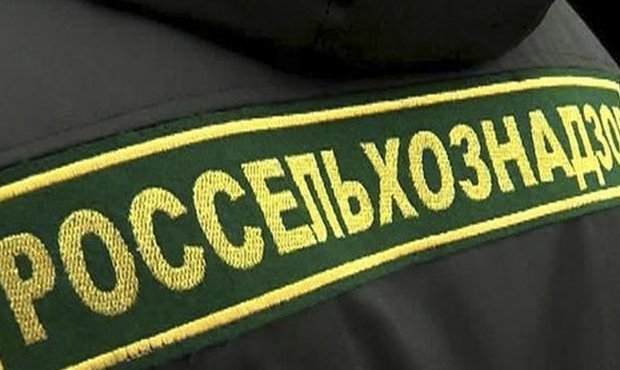 Прокуратура проверит работу Россельхознадзора в условиях продовольственного эмбарго