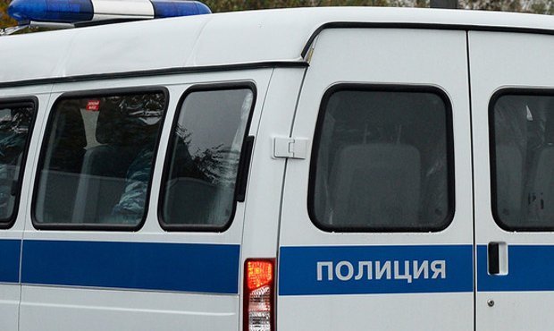 В Подмосковье обнаружили обезглавленный труп женщины