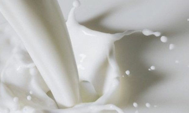 На прилавках магазинов России появятся молоко и подгузники «Печалька»