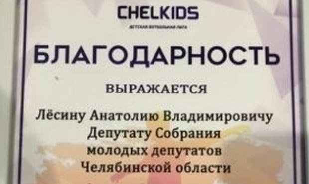 Челябинский депутат выписал сам себе благодарность за вклад в развитие детского футбола