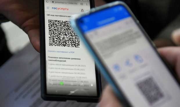 В Ленобласти власти разрешили признавать QR-коды импортных вакцин