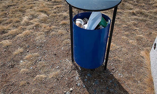 В Челябинске развесят плакаты со свиньями в рамках борьбы за чистоту
