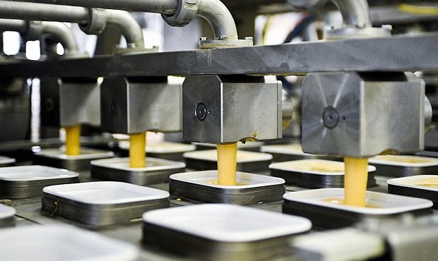 Российских производителей обяжут маркировать продукцию с пальмовым маслом