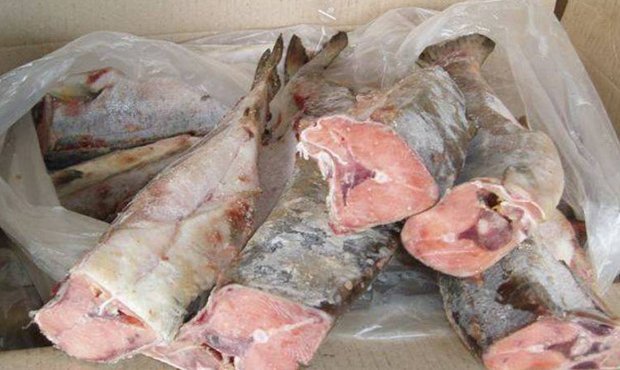 Накануне выборов в Южно-Сахалинске ветеранам начали раздавать продукты питания