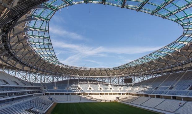 Волгоградские власти отказались обрабатывать стадион от мошек, которые мешают болельщикам и футболистам
