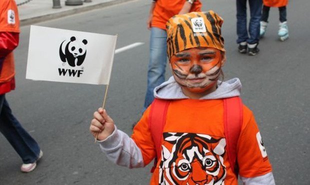 WWF России и Greenpeace могут заменить «патриотическими» экодвижениями