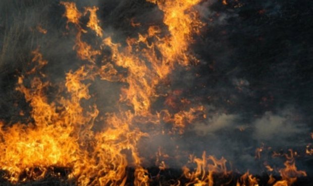 Лесные пожары не заставили сибирских чиновников отказаться от каникул