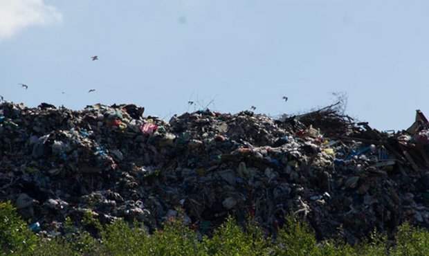 Мэрия Москвы пообещала Ярославской области 500 млн рублей за утилизацию своего мусора