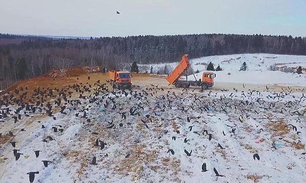 Жители Волоколамска подали в суд на компанию-оператора свалки «Ядрово»