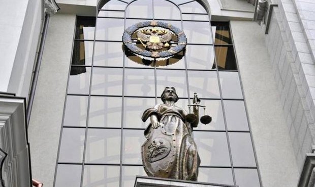 Общественная палата просит Верховный суд проверить судью, отпустившего на свободу Васильеву