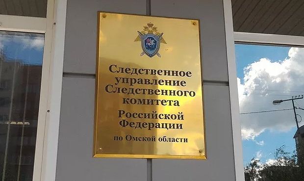 В Омской области жену депутата заподозрили в изготовлении порнографии со школьницами