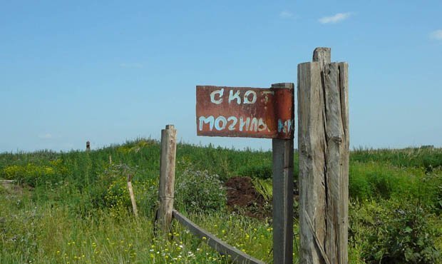 В России нашли почти 10 тысяч бесхозных скотомогильников, в том числе с сибирской язвой