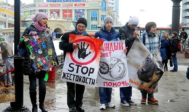 В 80 городах России пройдут митинги с требованием ужесточить наказание для живодеров 