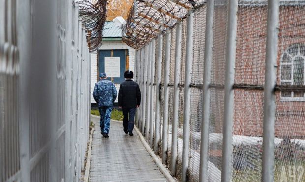 Правозащитники раскритиковали законопроект Совфеда о наказании за пытки заключенных