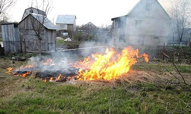 Россиянам напомнили о новых правилах разведения огня на своих дачах