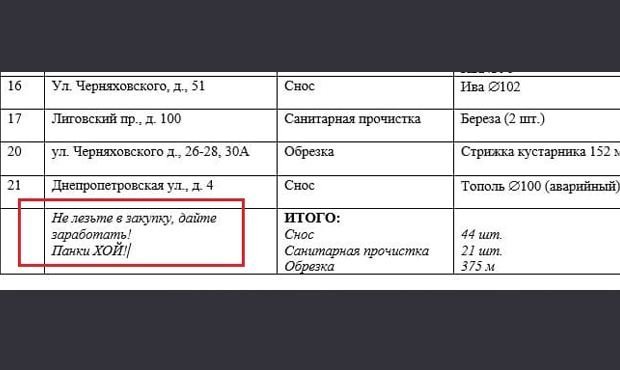 Петербургский мундеп обнаружил госзакупку с зашифрованным посланием «дать заработать»