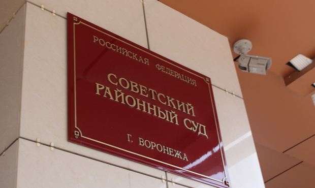 В Воронеже судья оправдала 11 участников протестных акций в поддержу Навального