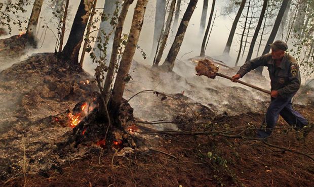 Мэр Москвы заявил о разрастании лесных пожаров в Рязанской области