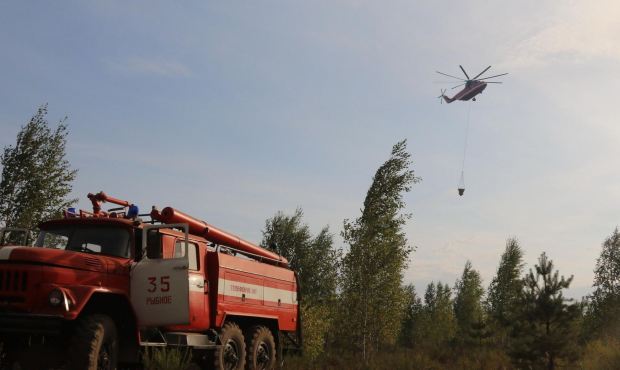 Российские власти винят поджигателей в мощных лесных пожарах. Огонь подступает к Москве