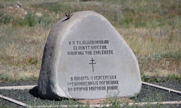 Прокуратура вынесла предостережение молодым единороссам за возложение цветов на могилу венгерских военнопленных