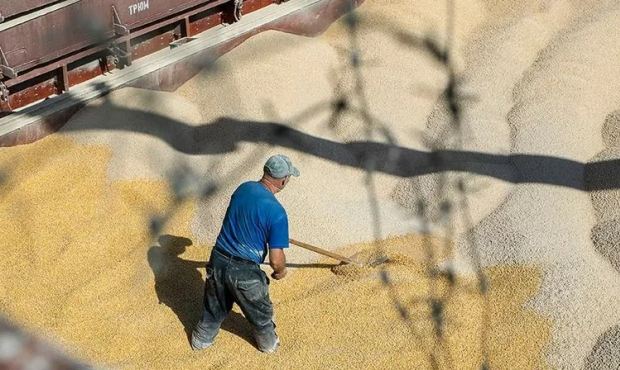 США не снимут санкции с России в обмен на экспорт зерна из Украины