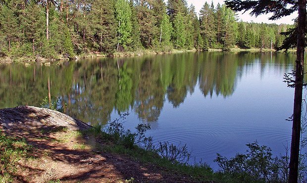 Прокуратура в ходе проверки не обнаружила на Урале ни одного водоема с чистой водой