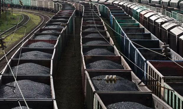 Власти Швейцарии присоединились к запрету на закупку у России угля и морепродуктов