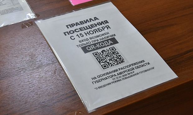 Россияне с высоким титром антител к коронавирусу смогут получить QR-коды