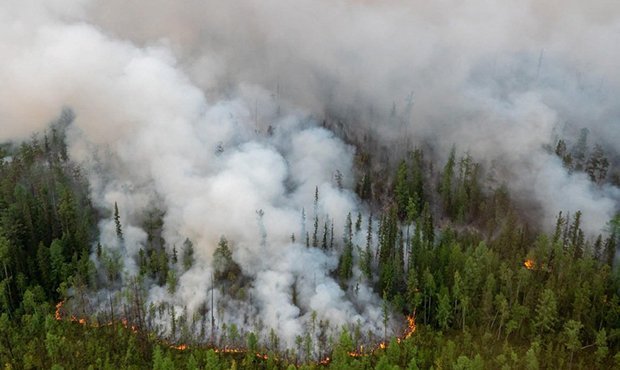  Ситуация с лесными пожарами в Сибири остается сложной. Площадь пожаров оценивается в 2 млн га