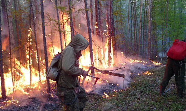 Власти Якутии ввели в регионе режим ЧС из-за лесных пожаров