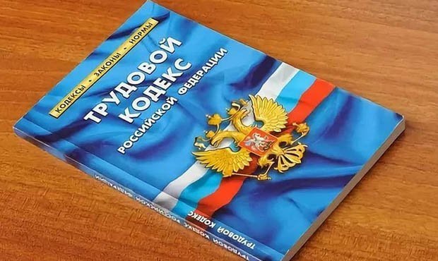 ОНФ предложил внести в Трудовой кодекс пункт о частично удаленной работе