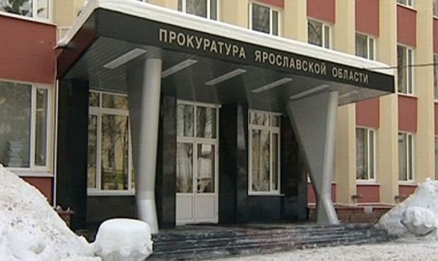 В Переславле-Залесском после нападения бездомных собак на женщину против чиновников возбудили дело о халатности