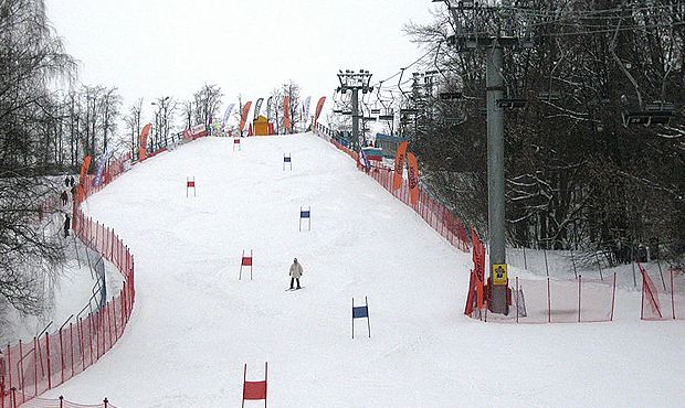 Мэрия Москвы разрешила вырубить сотни деревьев на Воробьевых горах ради горнолыжных склонов