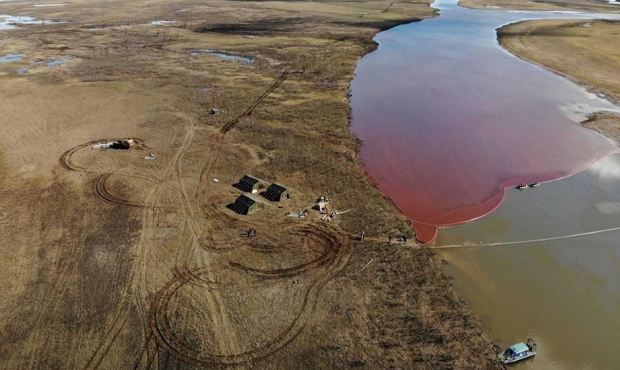 Арбитражный суд взыскал с «Норникеля» 146 млрд рублей за экологическую катастрофу в Норильске