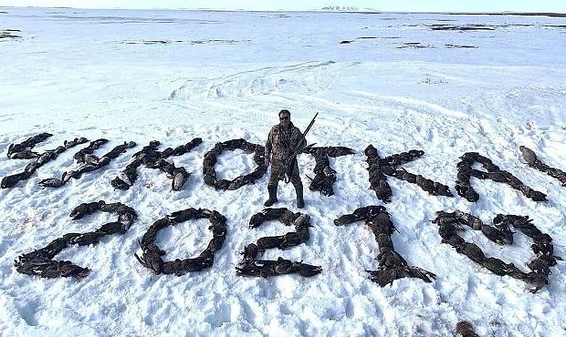 Магаданский депутат от «Единой России» после охоты сфотографировался на фоне сотен мертвых птиц