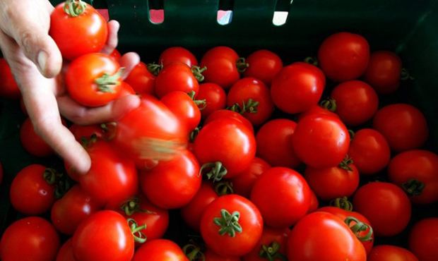 Россельхознадзор заявил о несоответствии турецких овощей и фруктов санитарным нормам