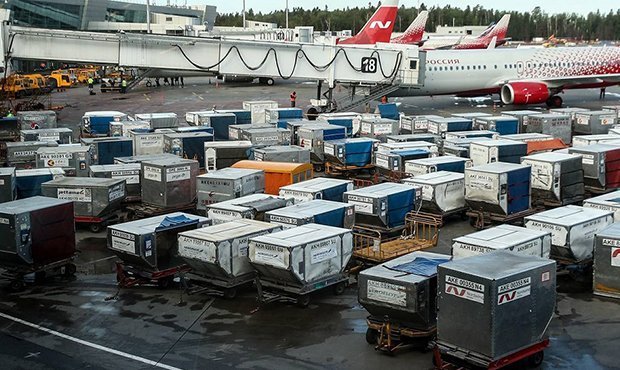 В аэропорту «Внуково» возник багажный коллапс из-за поломки сортировщика