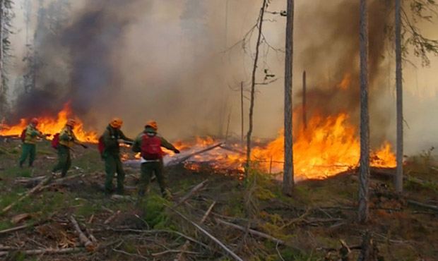 В Якутии школьников привлекли в тушению лесных пожаров