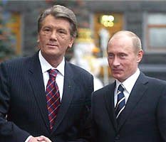 Цветы в декабре