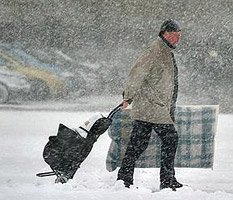 Переселенцев принять готовы. Теоретически