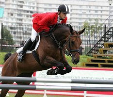 Дубль человека и лошади