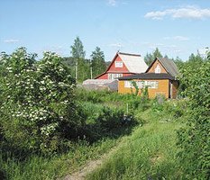 НеуДачная амнистия